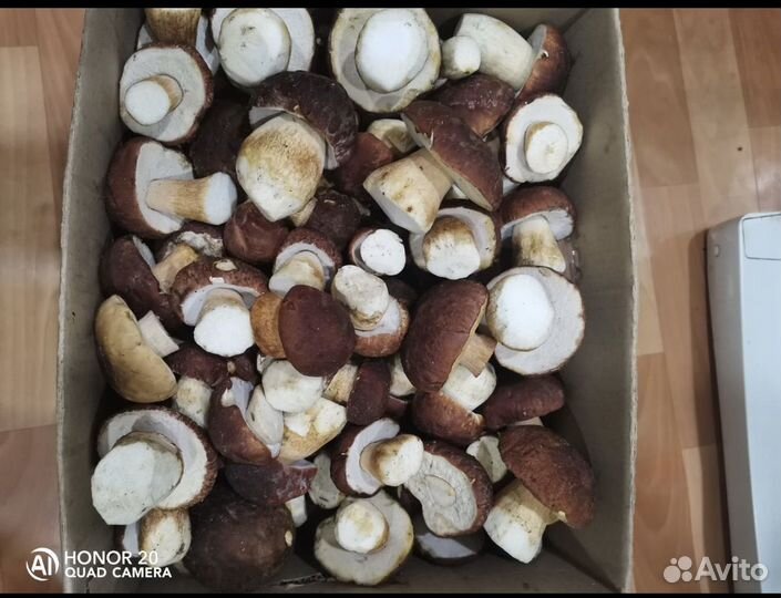 Грибы белые сушеные