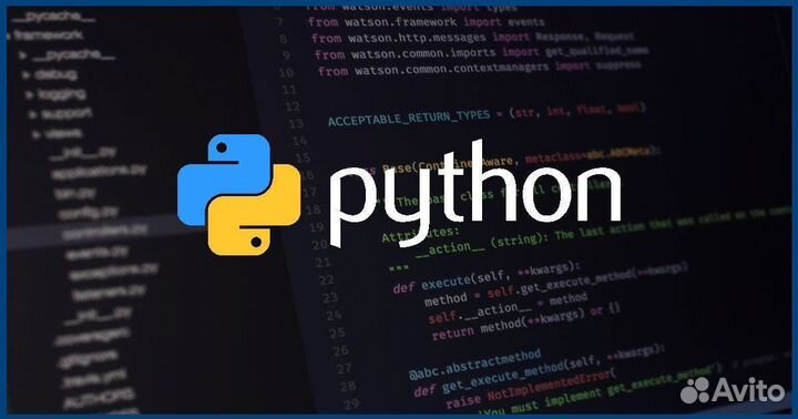 Репетитор Python