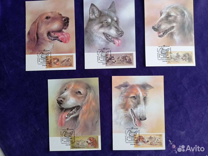 Картмаксимумы 1988г