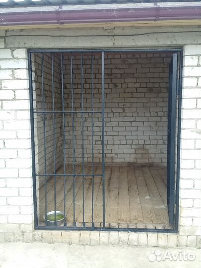 Гостиница для собак