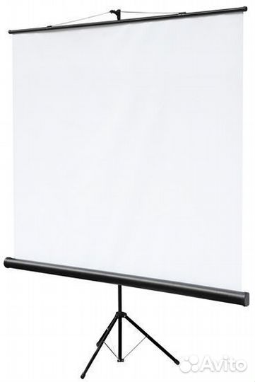 Аренда проектора и экрана