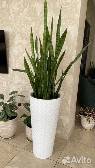 Набор из 2 -х кашпо