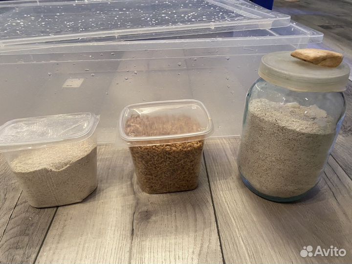 Пластиковый контейнер с вентиляцией