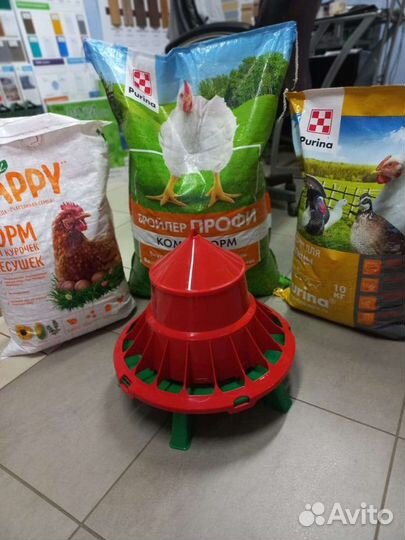 Кормушки и поилки для домашних птиц