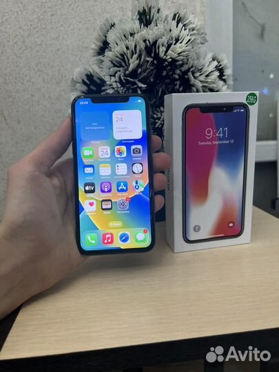 iPhone X, 256 ГБ