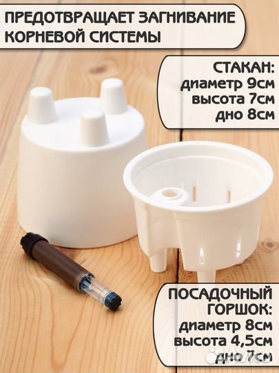 Маленький горшок с автополивом. Кашпо с фитилем