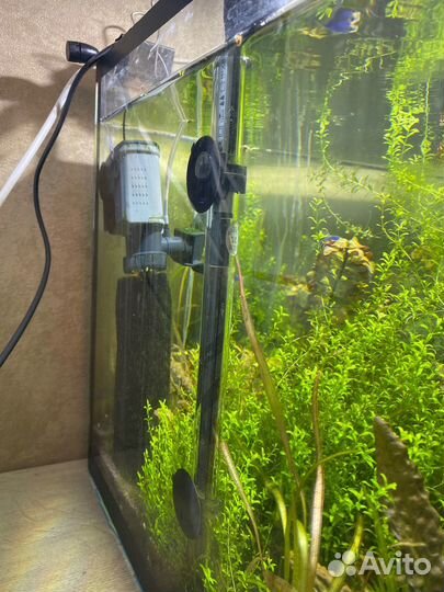 Аквариум 110 л