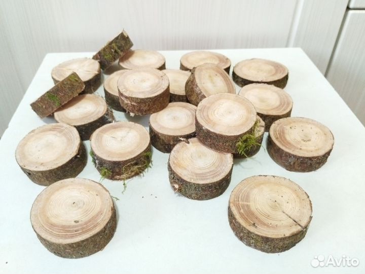 Спилы дерева