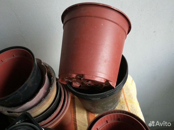 Посадочный материал