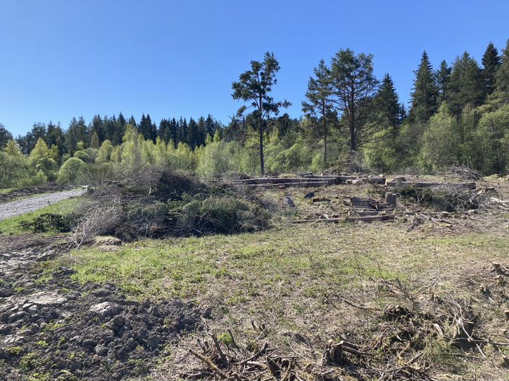 Участок 38 сот. (ИЖС)