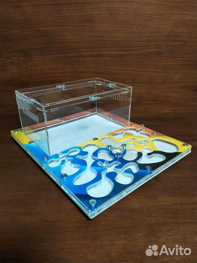 Муравьиная ферма