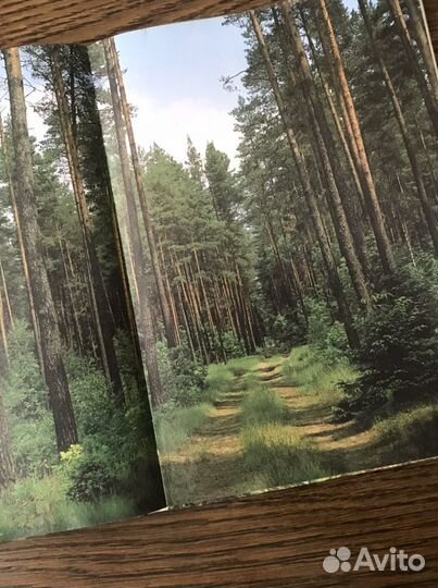 Книги о бабочках и природе