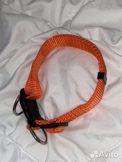 Ошейник для собак