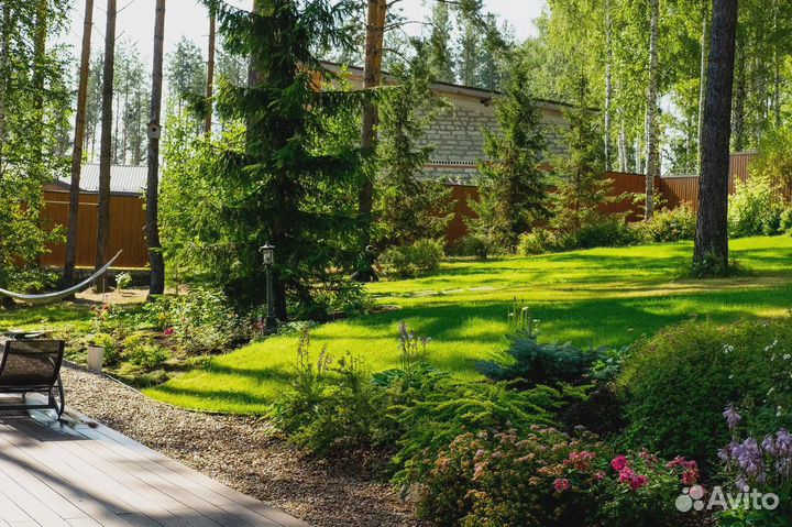 Рулонный газон