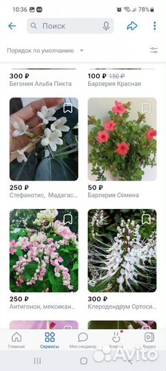 Комнатные цветущие растения