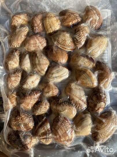 Клеммы вонголе