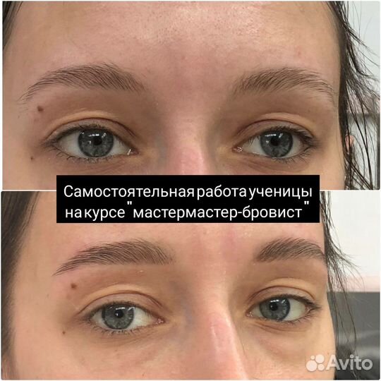 Обучение Мастер Бровист