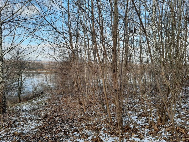 Участок 12 сот. (ИЖС)