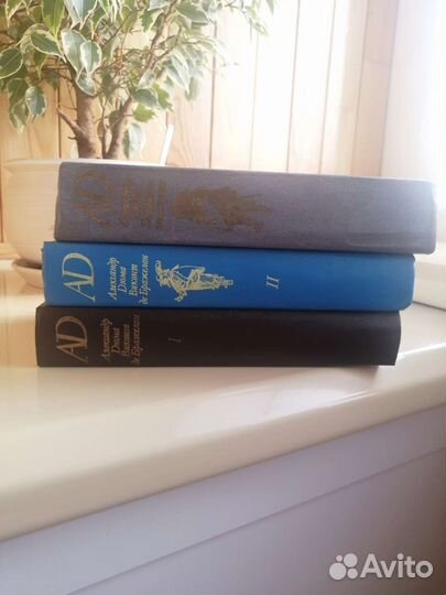 А. Дюма Виконт де Бражелон