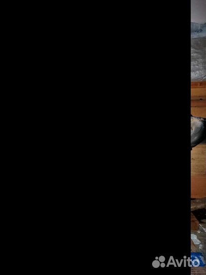 Дизельный двигатель бу audi