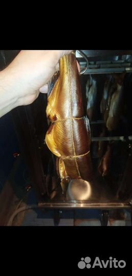 Копчёная рыба и мясо