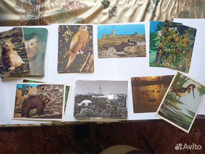 Открытки СССР