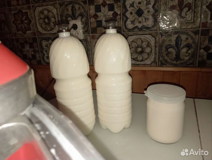 Молоко англо нубийских коз