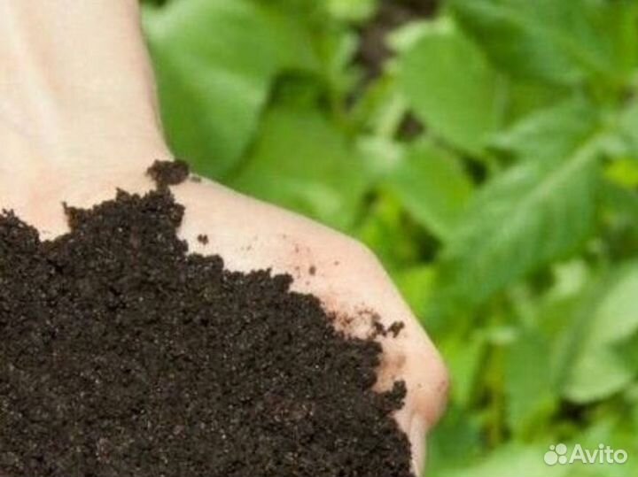 Удобрение для растений жмых кофейный