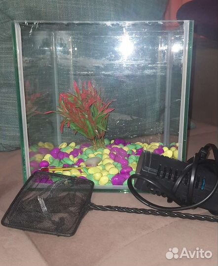 Аквариум
