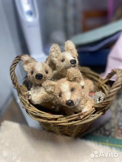 Тедди корги корманная игрушка