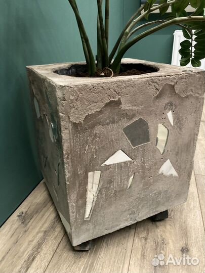 Дизайнерский горшок для цветов на колесиках