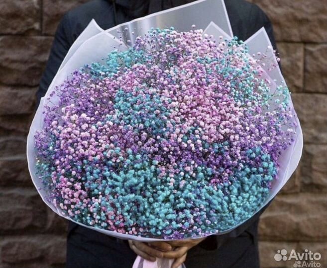 Гипсофила цветы с доставкой