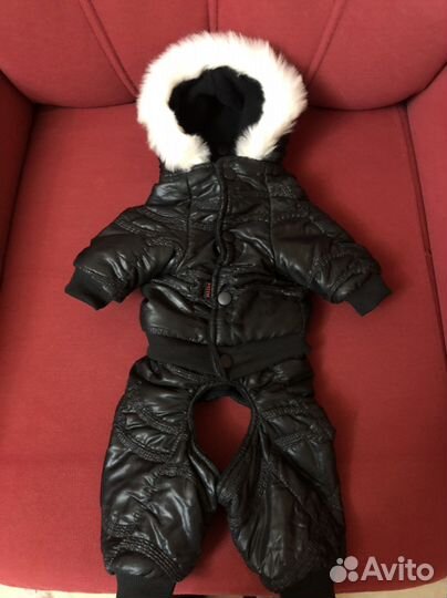 Комбинезон для мелких пород