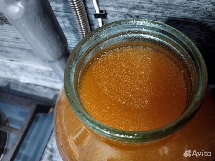 Рамка меда в сотах