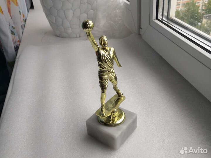 Кубок победителя баскетболиста данков