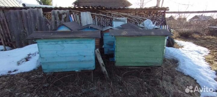 Улей для пчел бу