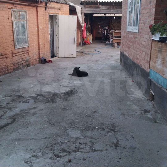 Дом 46 м² на участке 5 сот.