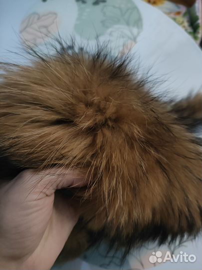 Меховой воротник лиса