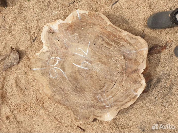 Слеб (Спилы Вяза)