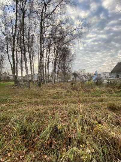 Участок 8 сот. (ИЖС)