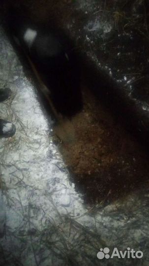 Ритуальные услуги и перевозки Бугульма