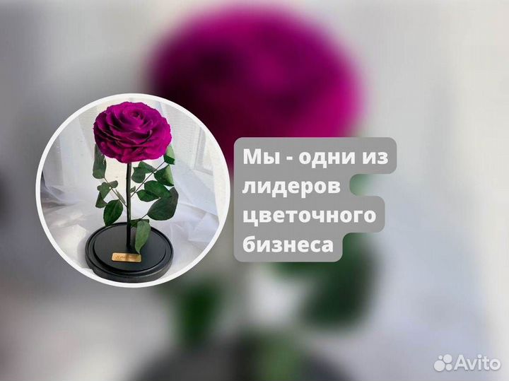 Неувядающая роза в колбе