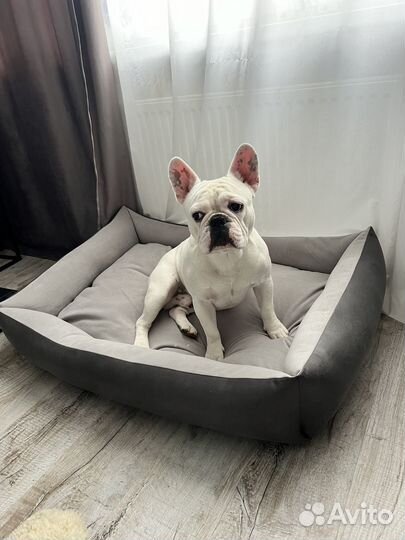 Вязка француз