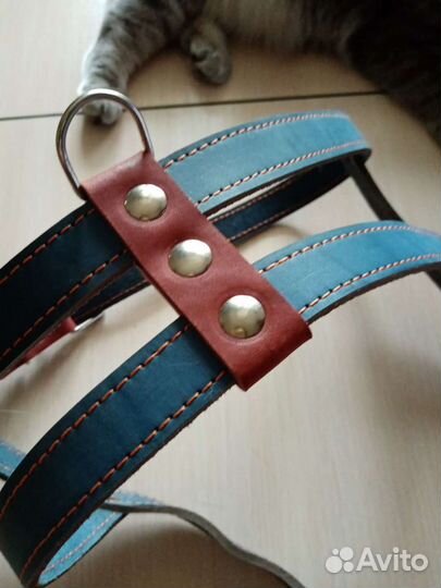 Шлейка для большой собаки