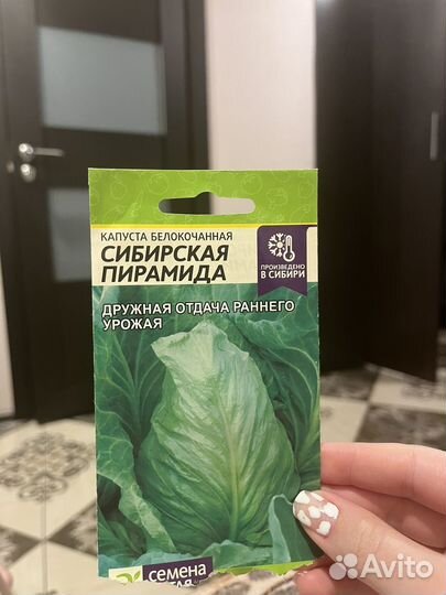 Рассада ранней капусты