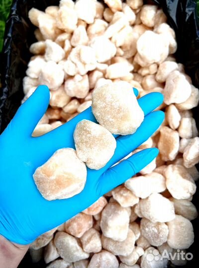 Оптом Гребешок Курильский