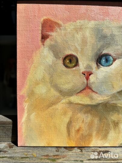 Белый, пушистый котик. Картина маслом