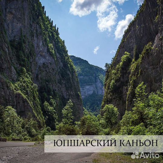 Однодневная экскурсия в Абхазию