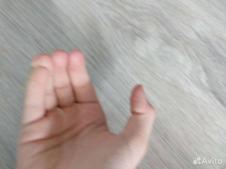 Палочник