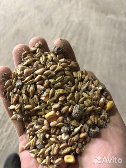 Зерносмесь